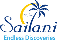 Sailani Tours IPO