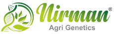 Nirman Agri Genetics IPO subscription status